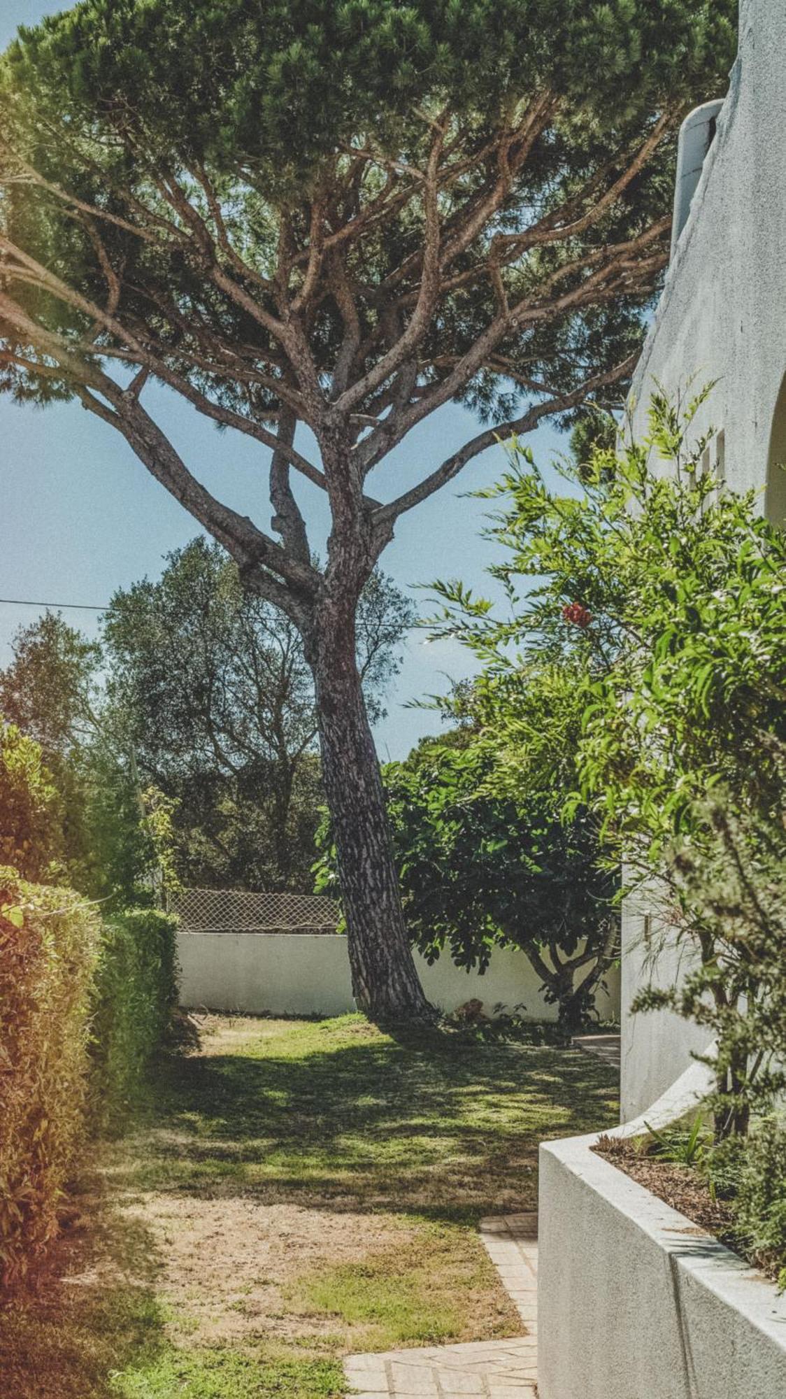 Pine House - Faro Airport, Beach And City Center Екстериор снимка